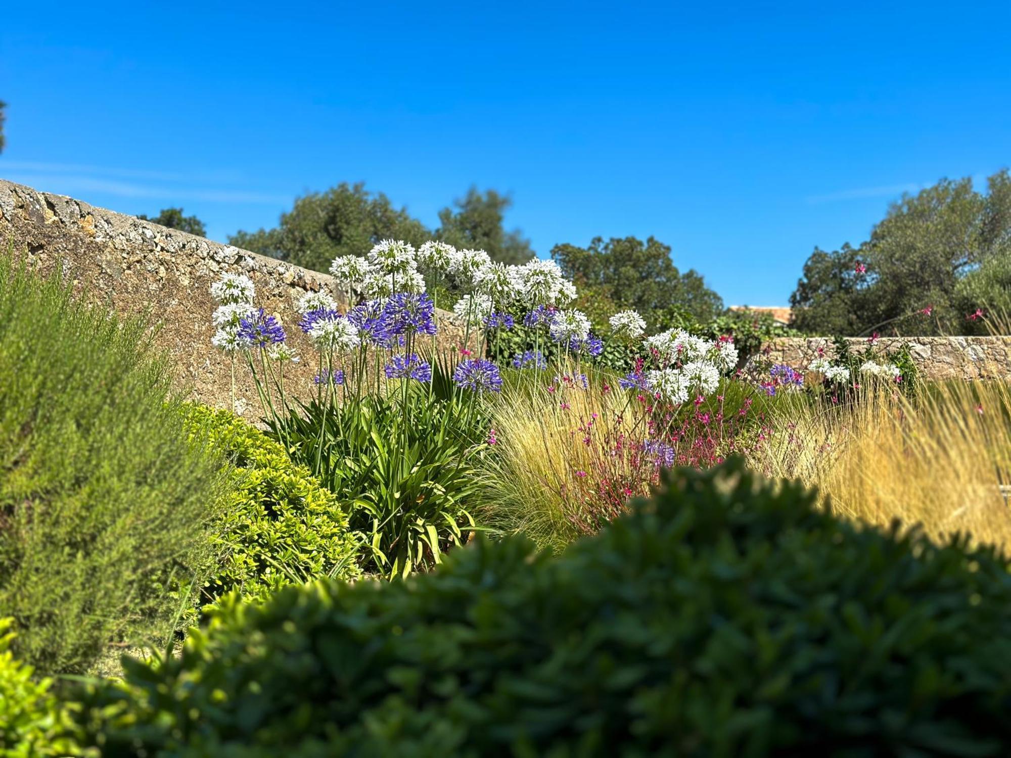 Domaine Celia Villa Monticello