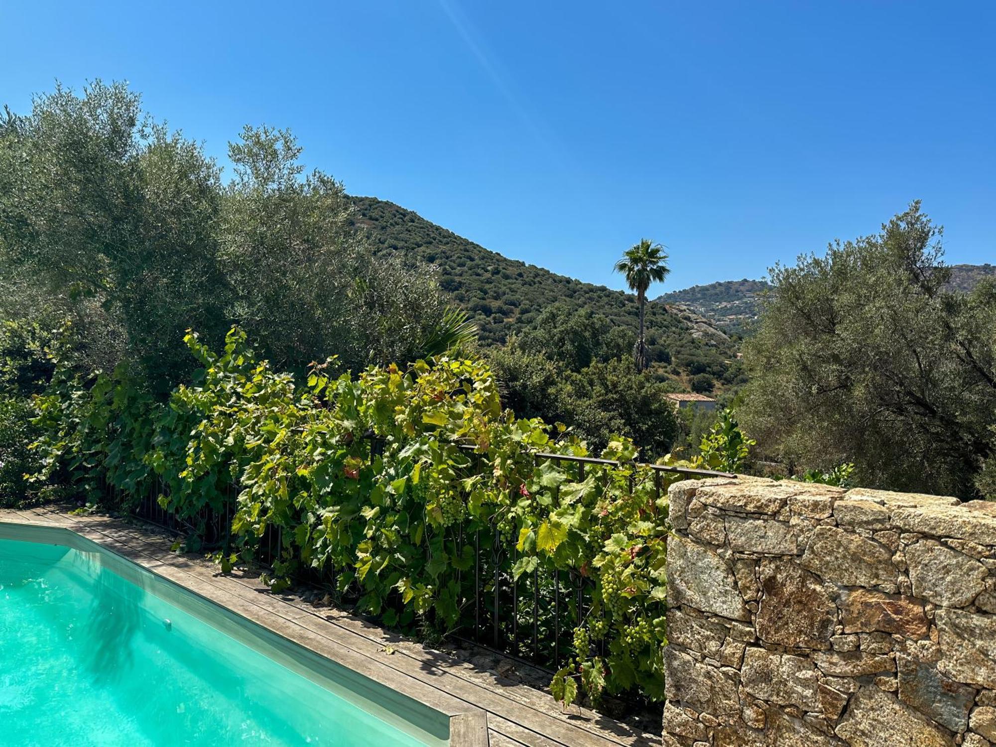 Domaine Celia