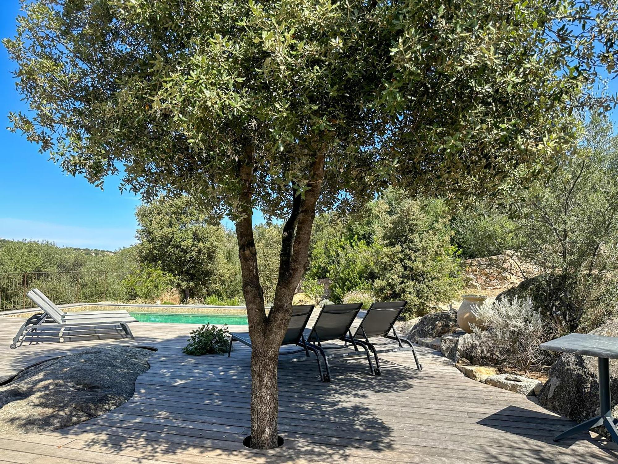 Villa Domaine Celia Monticello